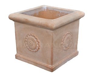 Cubo con Rosa